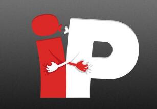 ip本质